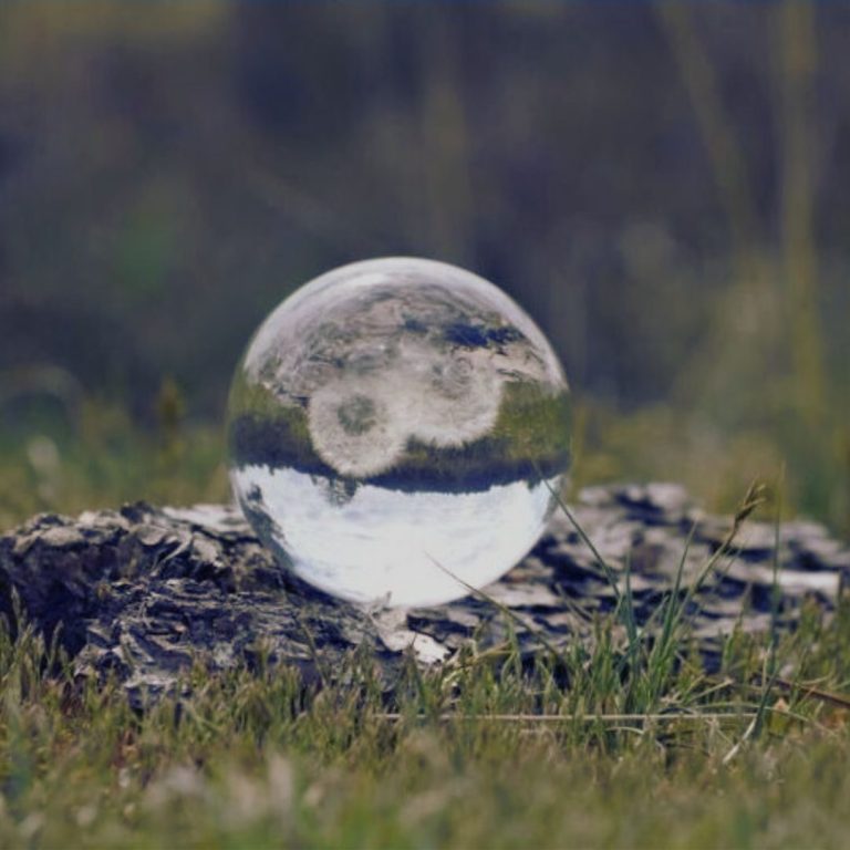 Praktijk Spiegelpad in Ermelo, balans, rust, vertrouwen, pure kracht, coach en therapeut Een glazen bol met een reflectie van een pluizenbloem op een boomstronk. Coach en therapeut.